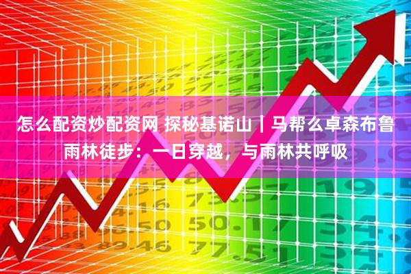 怎么配资炒配资网 探秘基诺山｜马帮么卓森布鲁雨林徒步：一日穿越，与雨林共呼吸