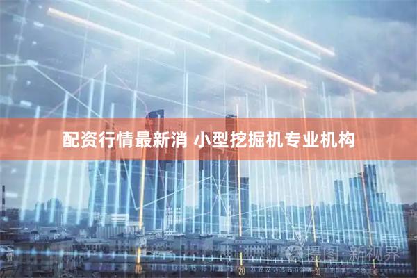 配资行情最新消 小型挖掘机专业机构