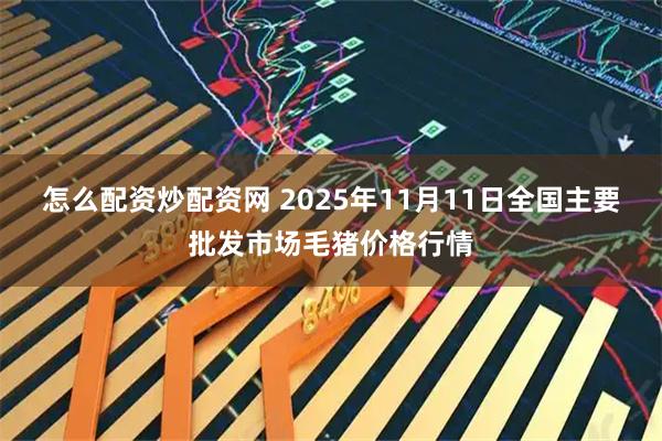 怎么配资炒配资网 2025年11月11日全国主要批发市场毛猪价格行情