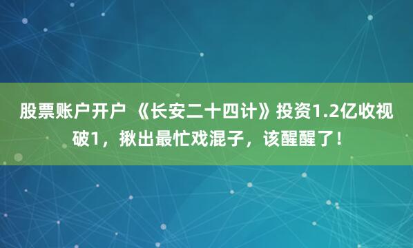 股票账户开户 《长安二十四计》投资1.2亿收视破1，揪出最忙戏混子，该醒醒了！